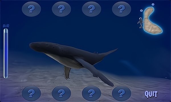 座头鲸模拟器3D图1